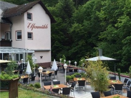 照片: Hotel Elfenmühle